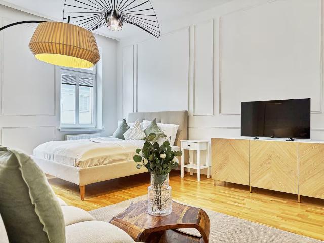 Long Term stays 2 min to U1 Keplerplatz Wifi, Vienna Amsterdam Apartments for Rent