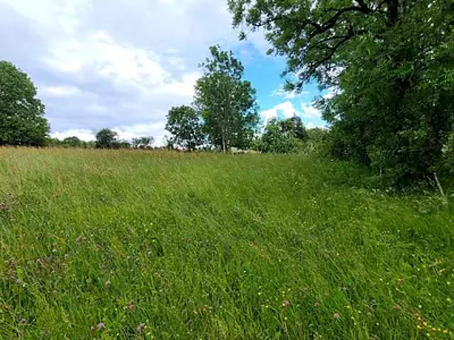 Longcochon 39250 Achat / Vente terrain