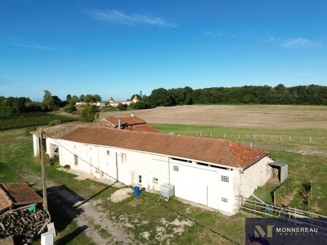 Longere Avec Gite Et Grand Terrain 244m² Léoville