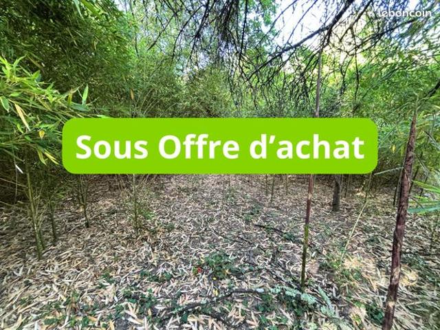 Longère à rénover au cœur de la forêt – 62 490 m² avec étang