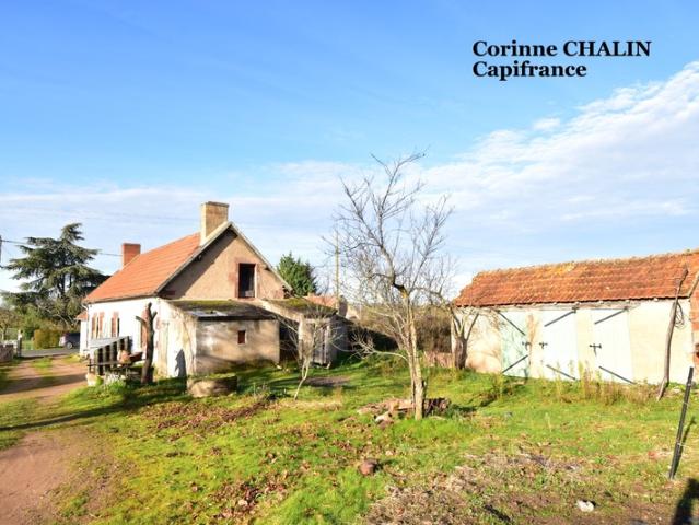 Longère à vendre 4 pièces 75m2 sur 1500m2 de terrain LIERNOLLES 03