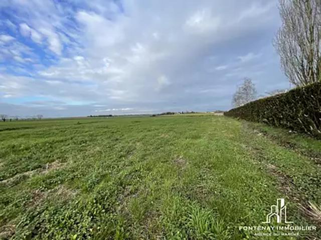 Longèves 85200 Achat / Vente terrain