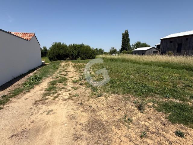 Longeville sur Mer Vente Terrain 85