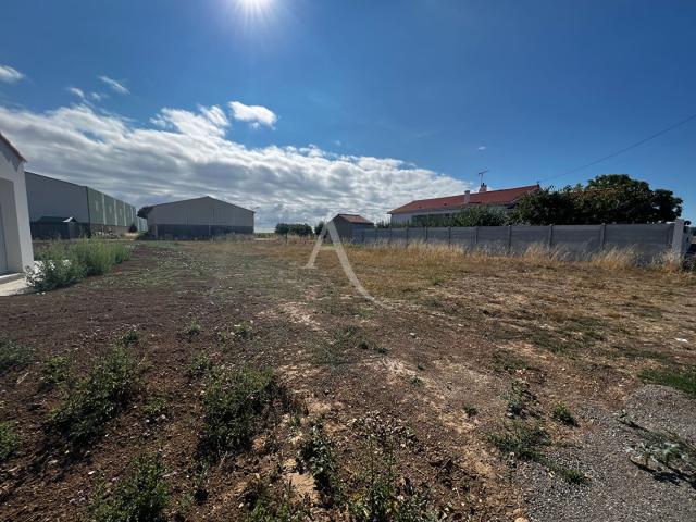 Longeville sur Mer Vente Terrain 85