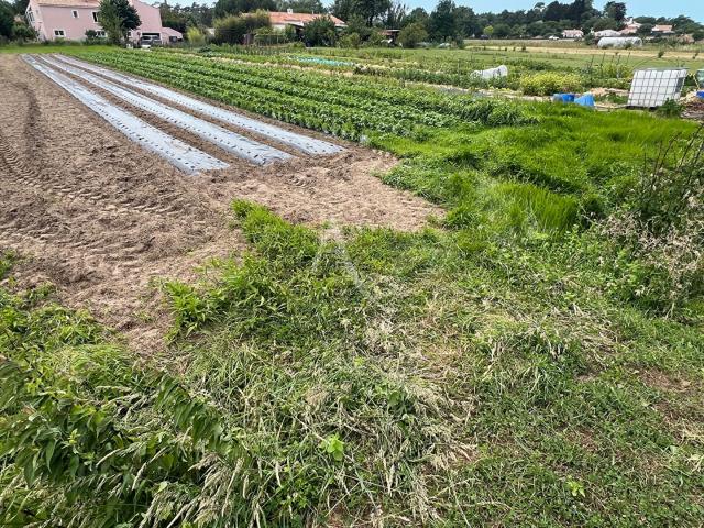 Longeville sur Mer Vente Terrain 85