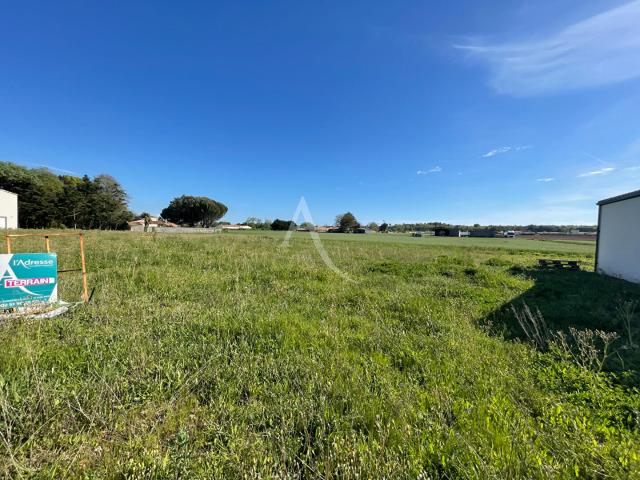 Longeville sur Mer Vente Terrain 85