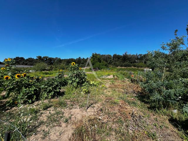 Longeville sur Mer Vente Terrain 85