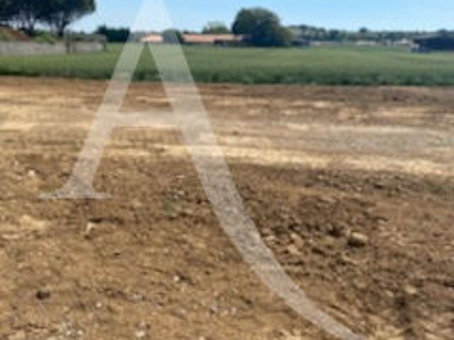 Longeville sur Mer Vente Terrain 85