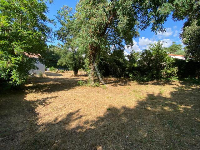 Longeville sur Mer Vente Terrain 85