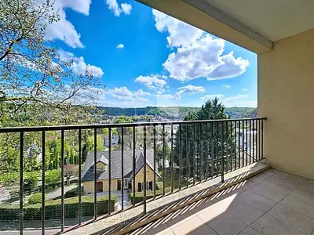 Longwy 54400 Achat / Vente appartement 6 pièces t6 cave parking