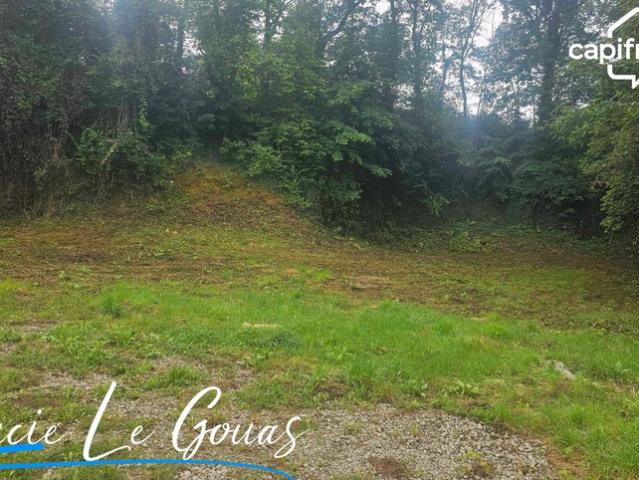Longuyon Vente Terrain 54