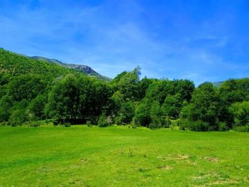 Lonquimay