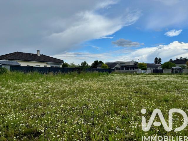 Lons Vente Terrain 64