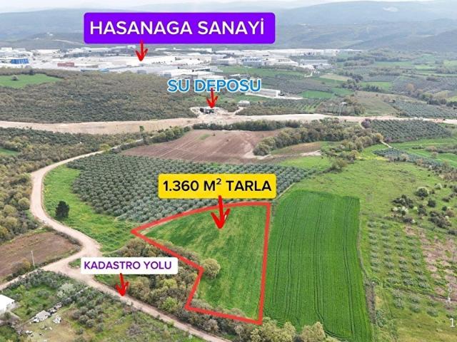 LOOKHAUSE AKÇALARDA FIRSAT SATILIK TARLA ALIN HEMEN KAZANIN