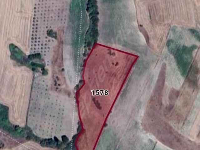 LOOKHAUSE KARACABEY TOPHİSAR'DA 11250M SATILIK YATIRIMLIK TARLA