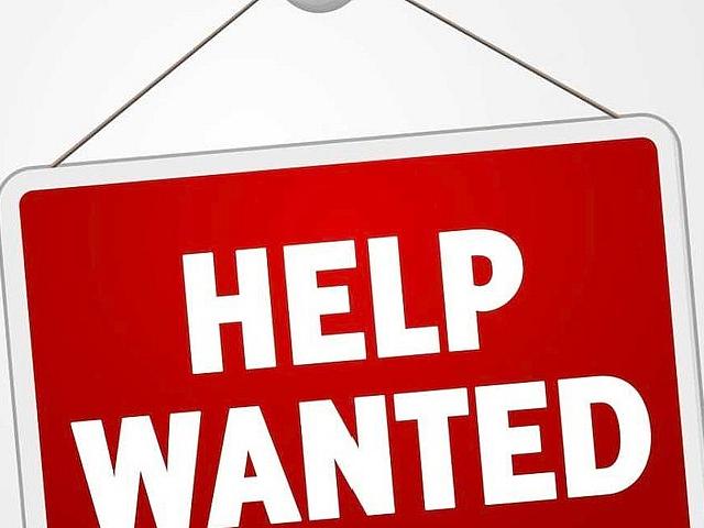 Looking For 1 Bedroom