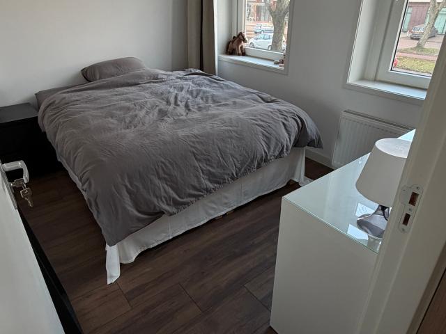 Looking for a female flatmate