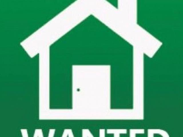Looking For A House Or Condo In Burlington/hamilton/grimsby Area