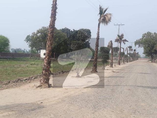 Looking For A Prime Location Residential Plot In Bedian Road