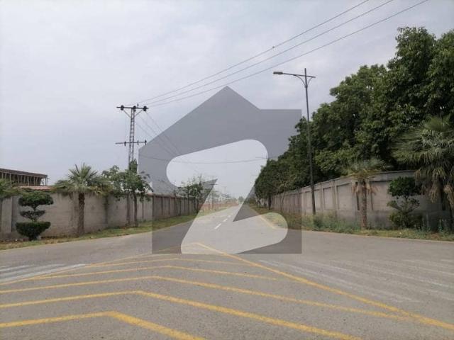 Looking For A Residential Plot In Farmers Farms Lahore