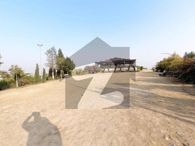 Looking For A Residential Plot In Islamabad