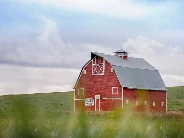 Looking For Farm/acreage Within 30 Mins Med Hat
