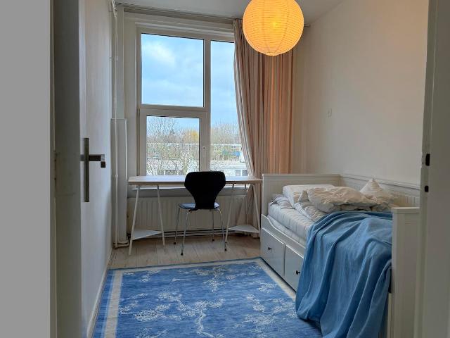 looking for roommate