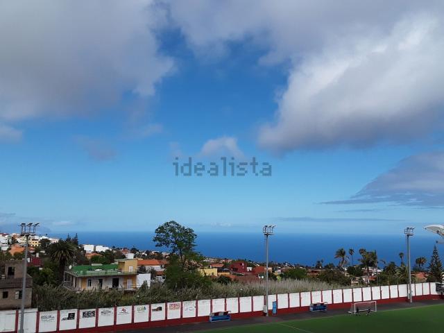 Local, Tacoronte