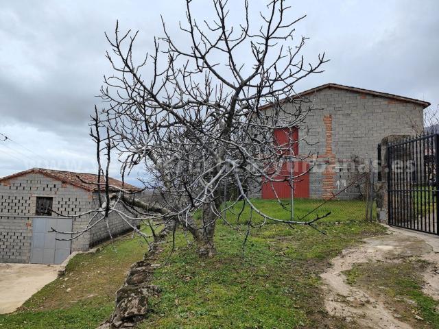 Local, Talaveruela de la Vera
