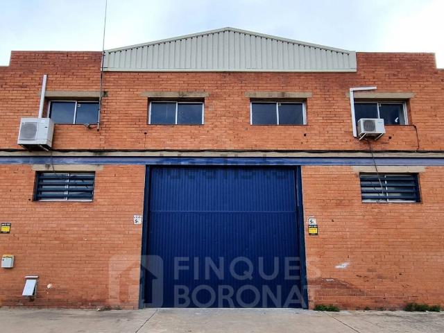 Local, Tarragona