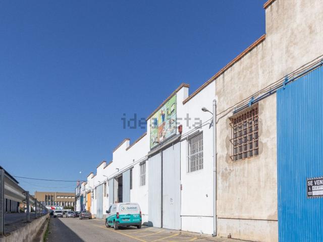 Local, Tarragona
