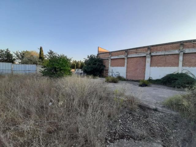 Local, Tárrega