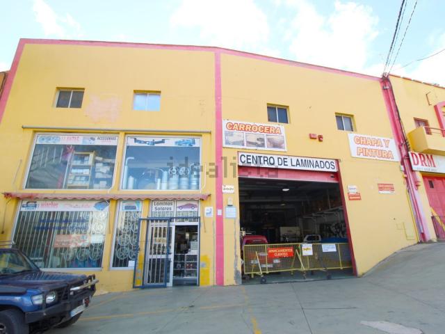 Local, Telde