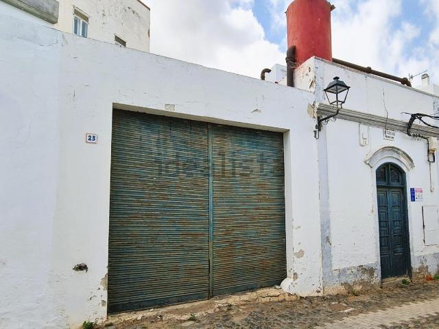 Local, Telde