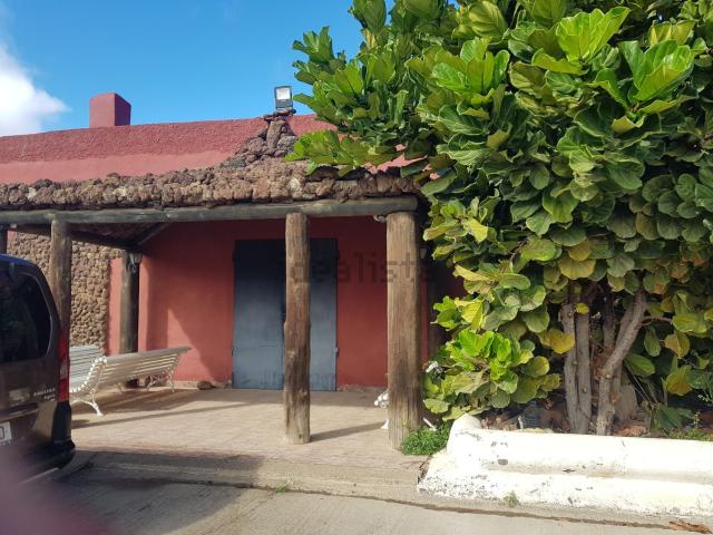 Local, Telde