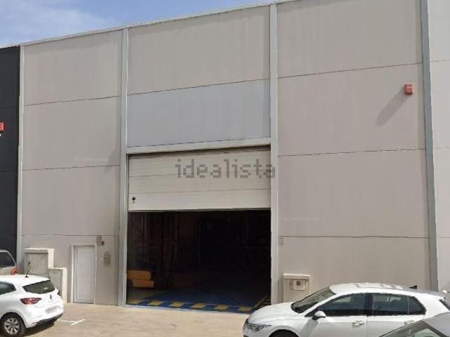 Local, Telde