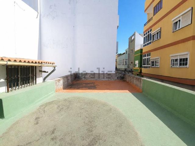 Local, Telde