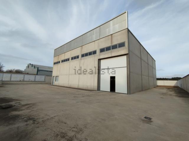 Local, Tomelloso