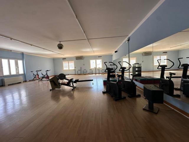 Local, Tomelloso