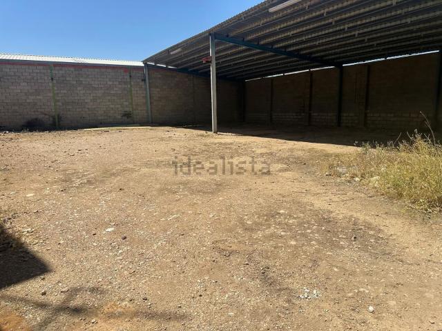Local, Tomelloso