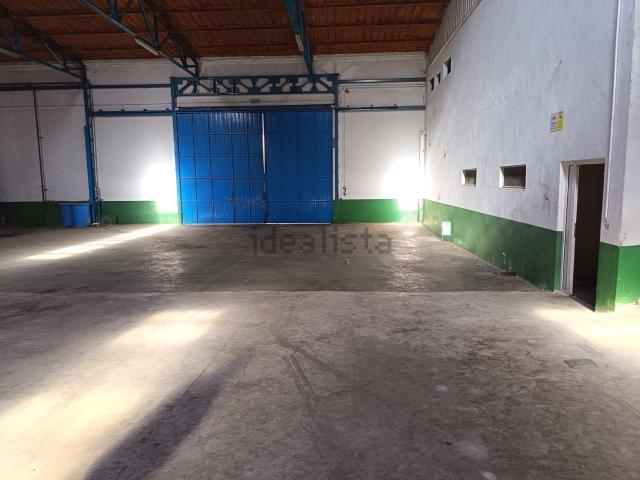 Local, Tomelloso