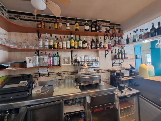 Local, Torremolinos