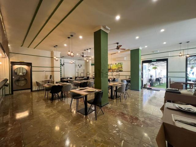 Local, Torremolinos