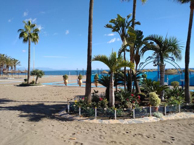 Local, Torremolinos