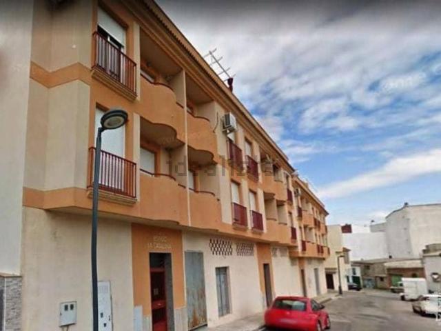 Local, Torredelcampo