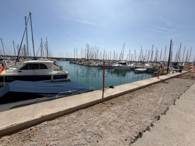 Local, Torredembarra