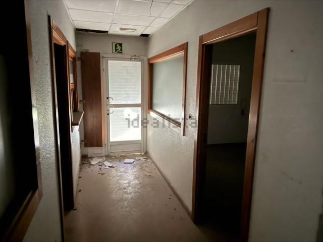 Local, Toscar, Elche / Elx