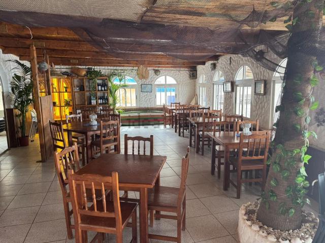 Local, Tuineje