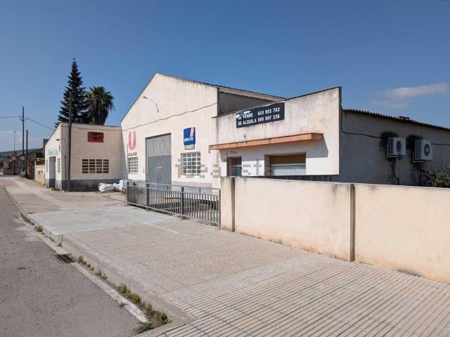 Local, Ulldecona
