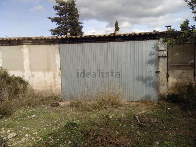 Local, Ulldecona